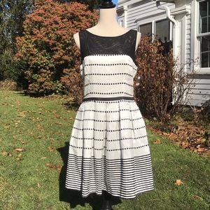 NWT Taylor Dress